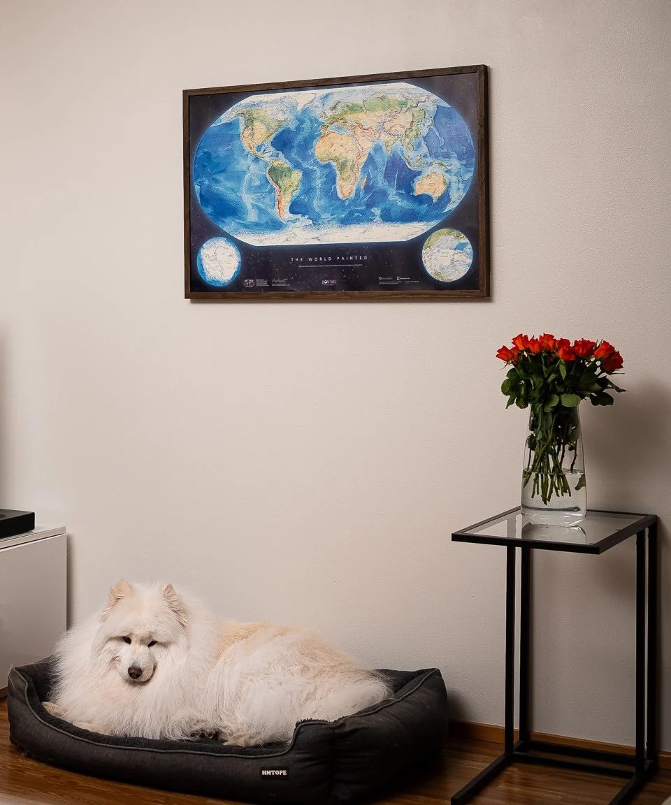 The World Painted framed above a sleeping white dog in a living room, lights on
